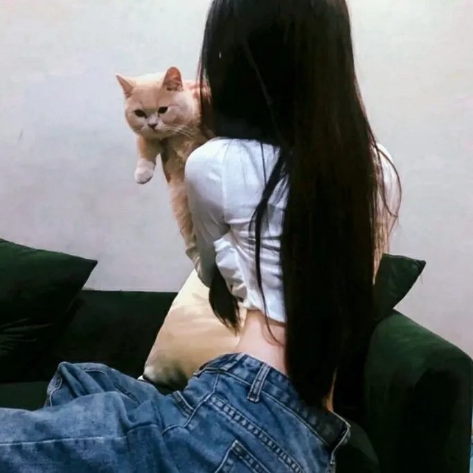 生命之书